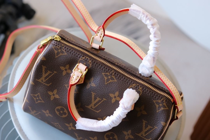 LV Speedy Bags